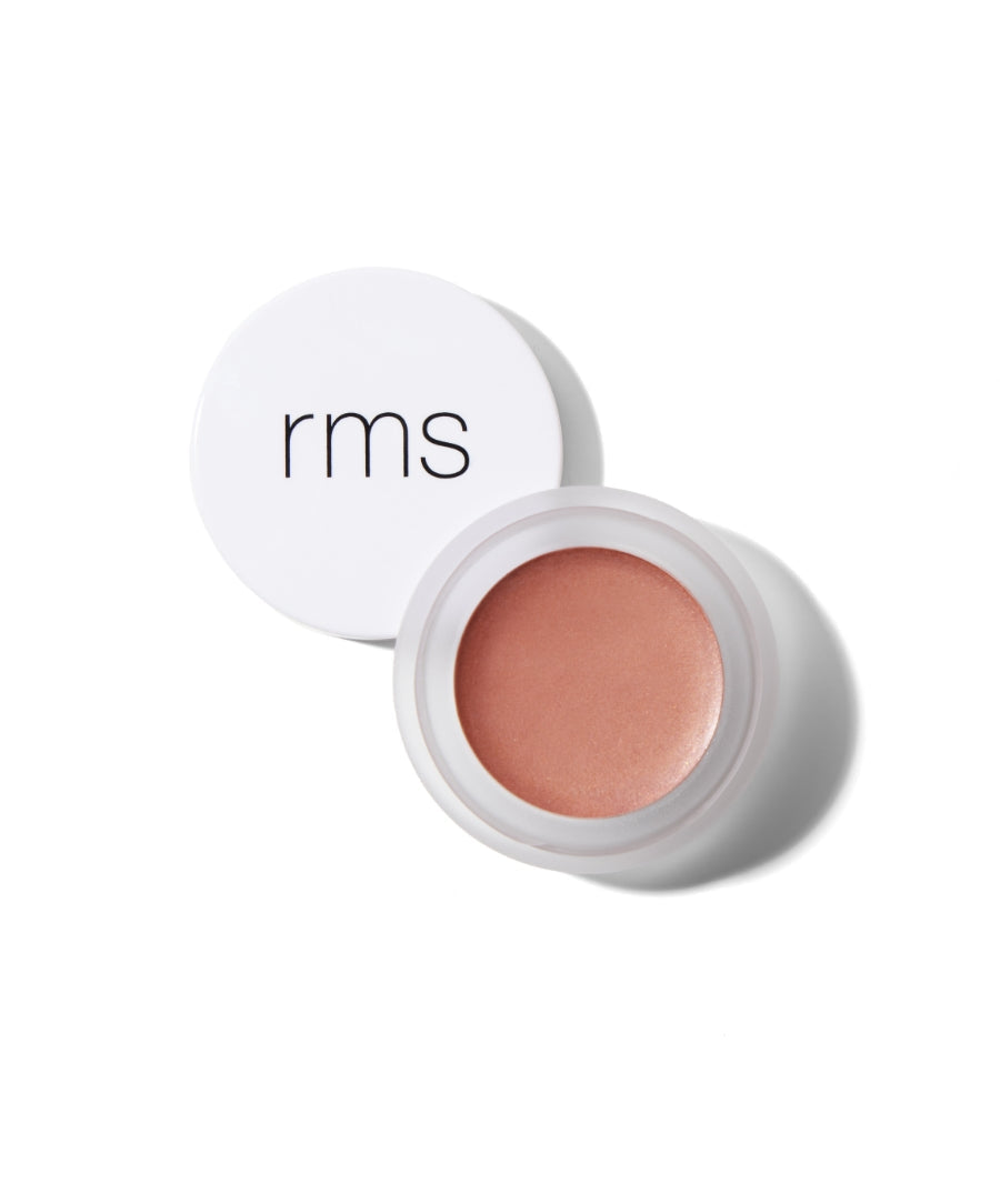 Lip2Cheek Comfortable Lip Color for Daily Wear