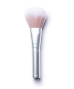 Skin2Skin Powder Blush Brush Makeup Tool with Easy Everyday Application