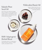 The New Skincare Lineup Daily Skin Care for Moisture and Comfort