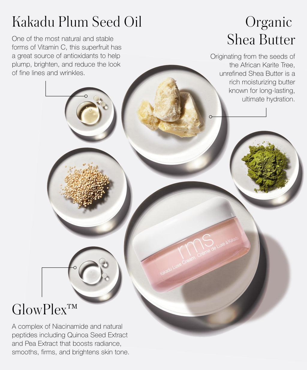 The New Skincare Lineup Daily Skin Care for Moisture and Comfort