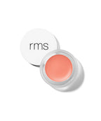 Lip2Cheek Comfortable Lip Color for Daily Wear