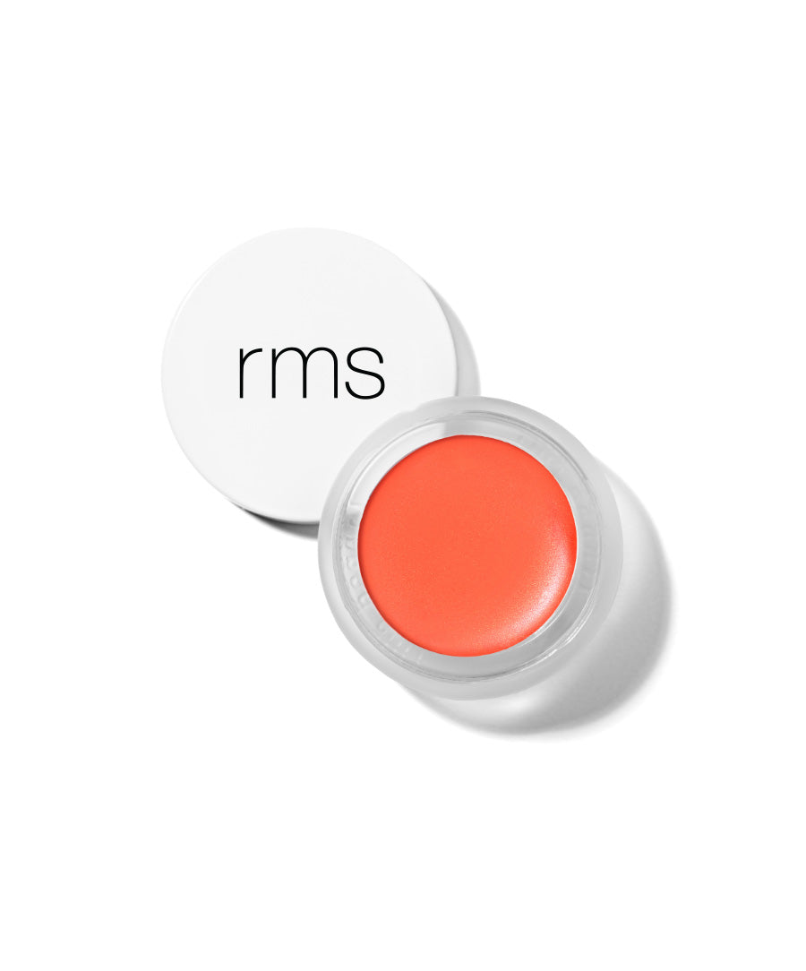 Lip2Cheek Comfortable Lip Color for Daily Wear