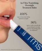 Lipnights Overnight Lip Mask Comfortable Lip Color for Everyday Wear